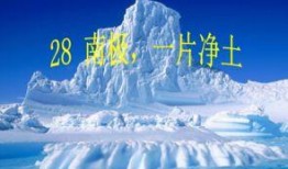 南极最新爆料视频大全,最新爆料视频大盘点